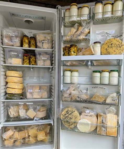 Cheese Cave Mini Fridge