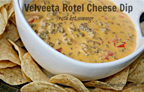 cheese dip recipes velveeta with hamburger