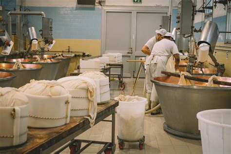 Cheese Head Factory Tour