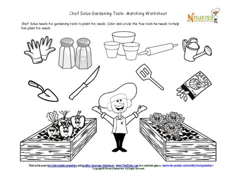 Chef Solus Printable Worksheets