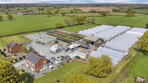 Chelston Estates Ltd