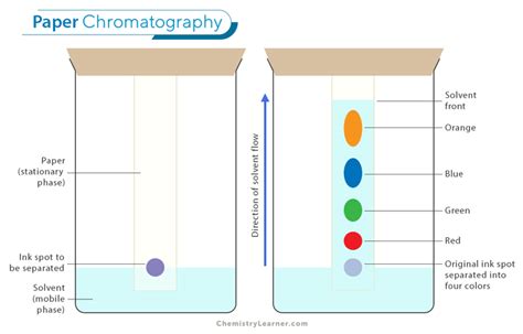 Chemguide Paper Chromatography