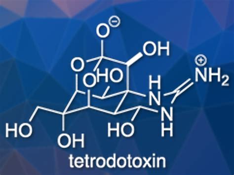 Chemical structure of tetrodotoxin (TTX). Download Scientific Diagram