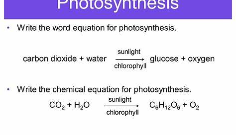 Photosynthesis Equation Cyber