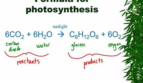 Chemical Equation For Photosynthesis Reactants And Products PPT PowerPoint Presentation, Free