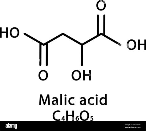 Malic Acid Formula. Chemistry Science Vector Illustration Stock Vector
