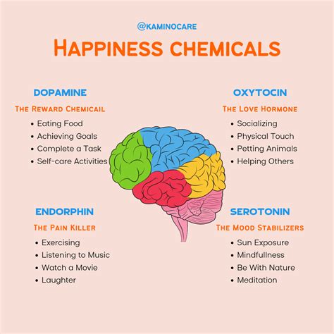 Happiness Chemicals And How To Hack Them Printable