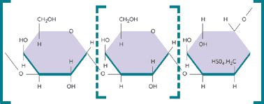 Microbiology / New discoveries CULTURE MEDIA AND ITS TYPES USED UN
