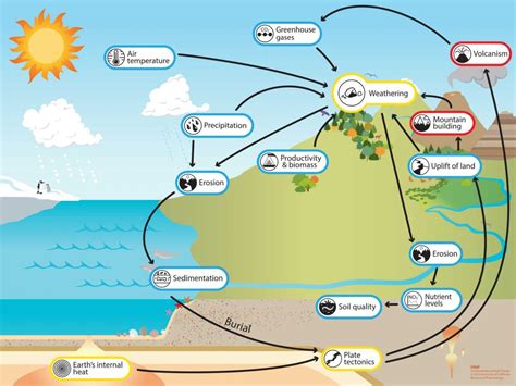 chemical weathering carbon cycle