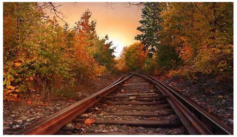 Le Chemin De Fer Manon Rousseau Train Tracks Railroad Tracks Railroad