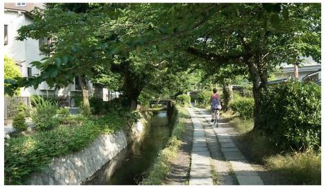 Philosopher's path Kyoto's zen walk