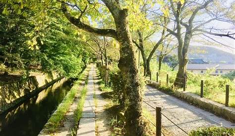 Chemin De La Philosophie Kyoto Balade Zen