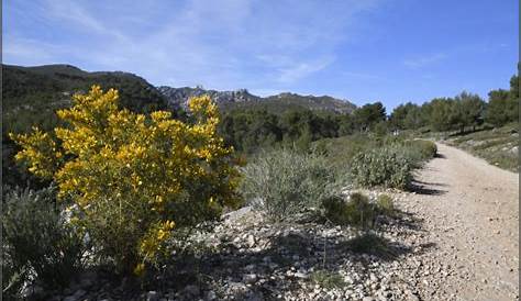 Chemin de Provence Incredible places, Nature, Paths