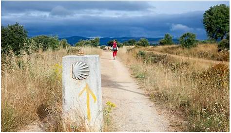 Chemin De Santiago Resultado Imagen Compostelle Mapas