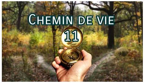 Chemin De Vie 11 Ou 2 Samantha Le L'amour Est Pavé Psychopathes