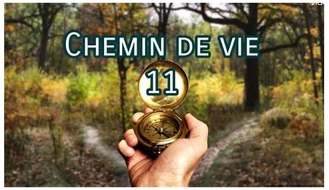 Chemin De Vie 11 Divinatix