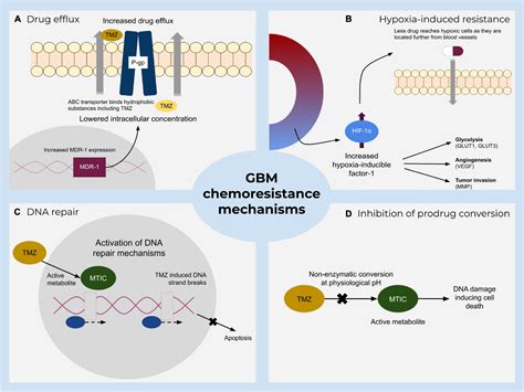 chemo medication for glioblastoma