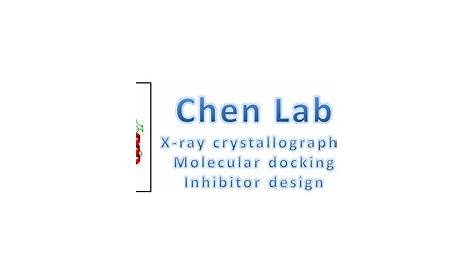 Chen Lab | Ophthalmology & Visual Sciences