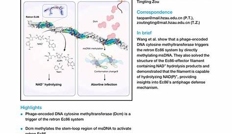 Chen WANG | Ph.D | University of California, Los Angeles, CA | UCLA