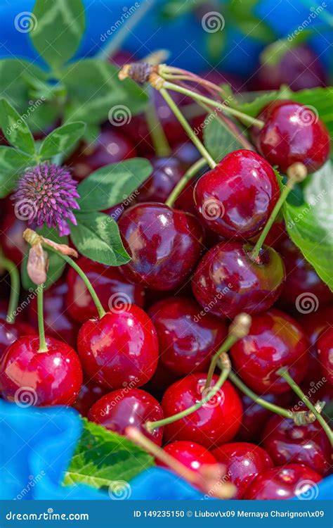 Fungicides
