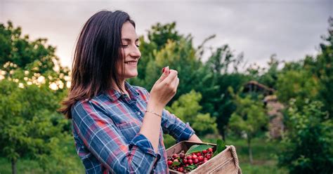 Cherries And Digestive Issues