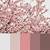 cherry blossom color