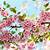 cherry blossom hd wallpaper for desktop