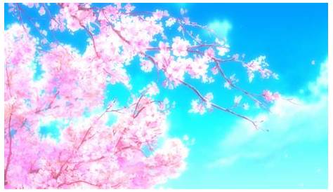 wallpaper anime girl beautiful landscape sky blue cherry blossom sakura