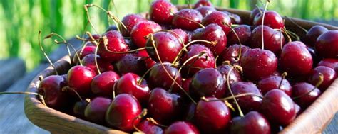 Cherry Allergy Group