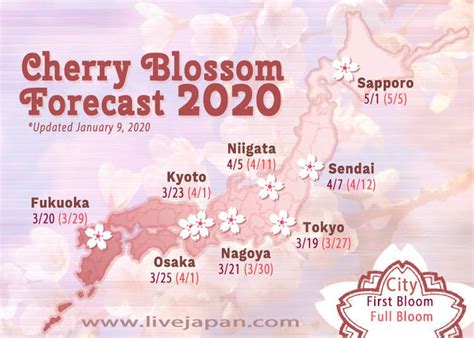 cherry blossom 2023 results
