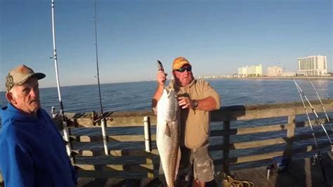 cherry grove south carolina beach fishing