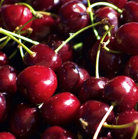 Cherry Release Date Nz