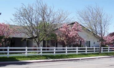 cherry tree pediatrics orem utah