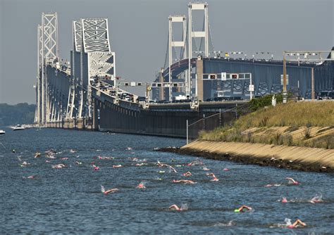 chesapeake bay bridge swim
