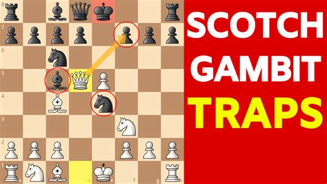 chess openings scotch gambit traps