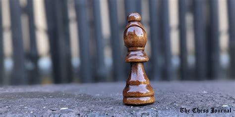 chess piece bishop moves