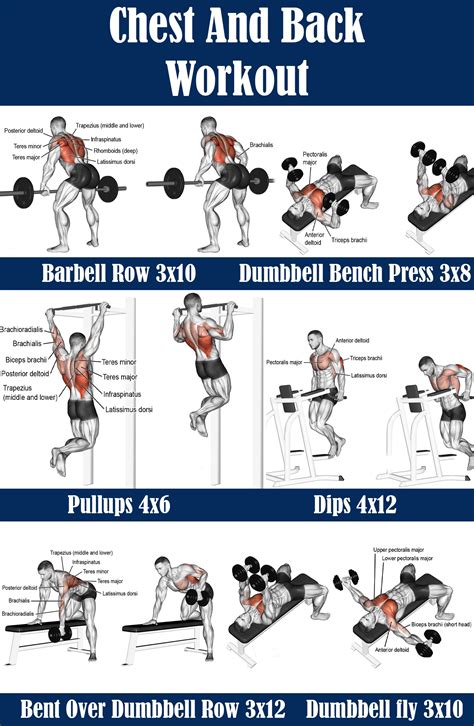 Chest And Back Workout Bench