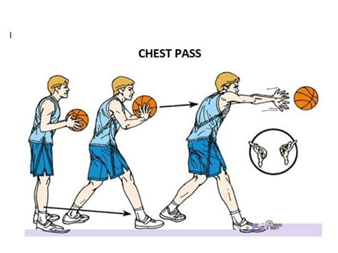Chest And Bounce Passes