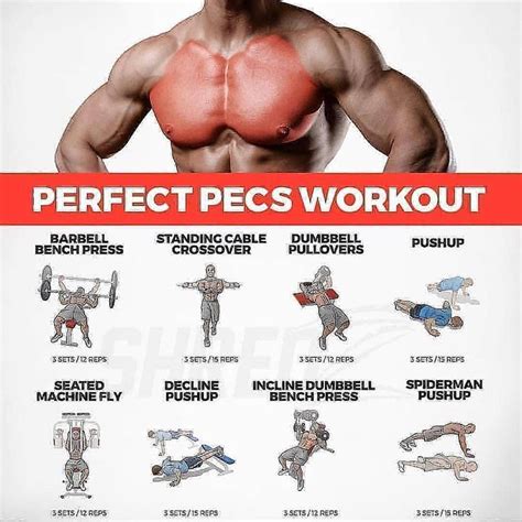 Chest Day Workout Pecs