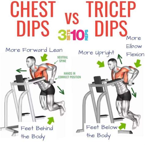 Chest Dips Exercise Benefits