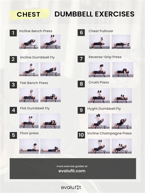Chest Exercises Db