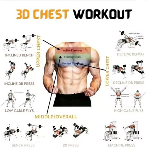 Chest Exercises Diagram