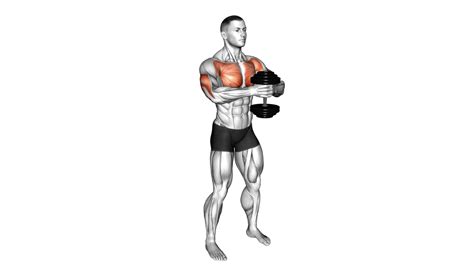 Chest Exercises Dumbbell Standing