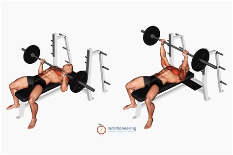 Chest Exercises Using Bench