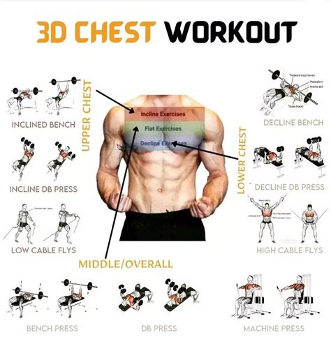 Chest Ideas Workout