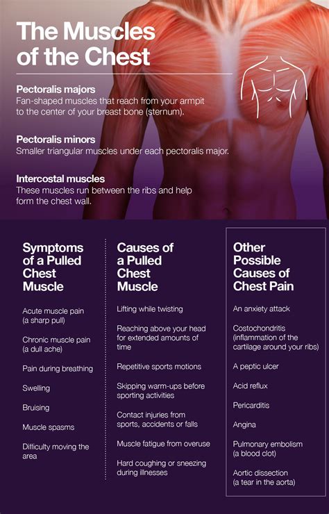 Understanding and Managing Chest Muscle Strain: Causes, Symptoms, and Effective Relief Strategies