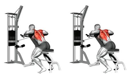Chest Supported Row Cable