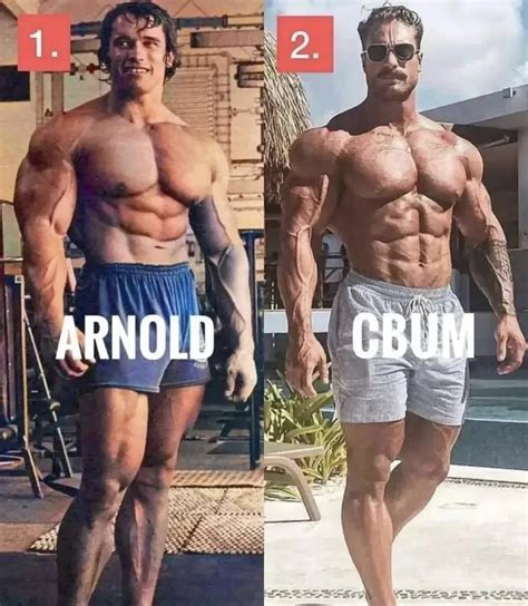 Chest Vs Abs Reddit