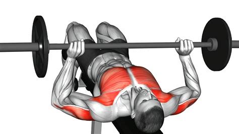 Chest Workout Barbell Only