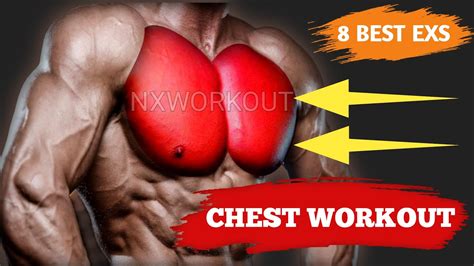 Chest Workout Quora